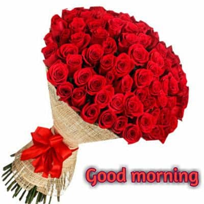 lovely good morning images hd