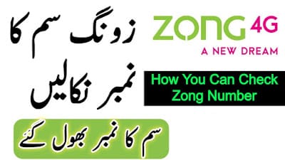 How to check Zong Number