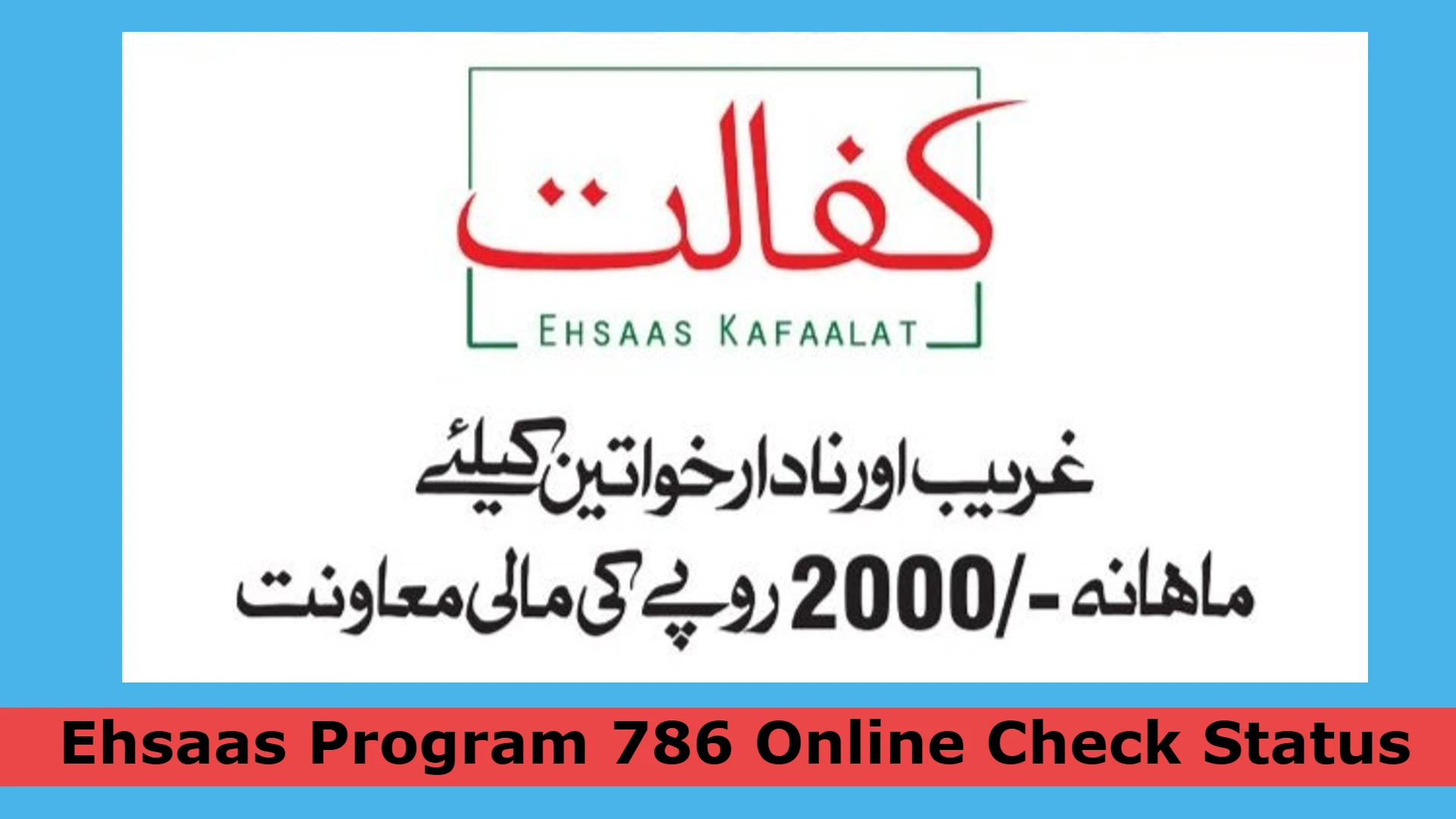 Ehsaas Program 786 Online Check Status